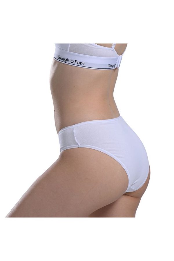 Likralı 6'lı Kutu Premium Slip Külot Laura G-006 H - Görsel 27