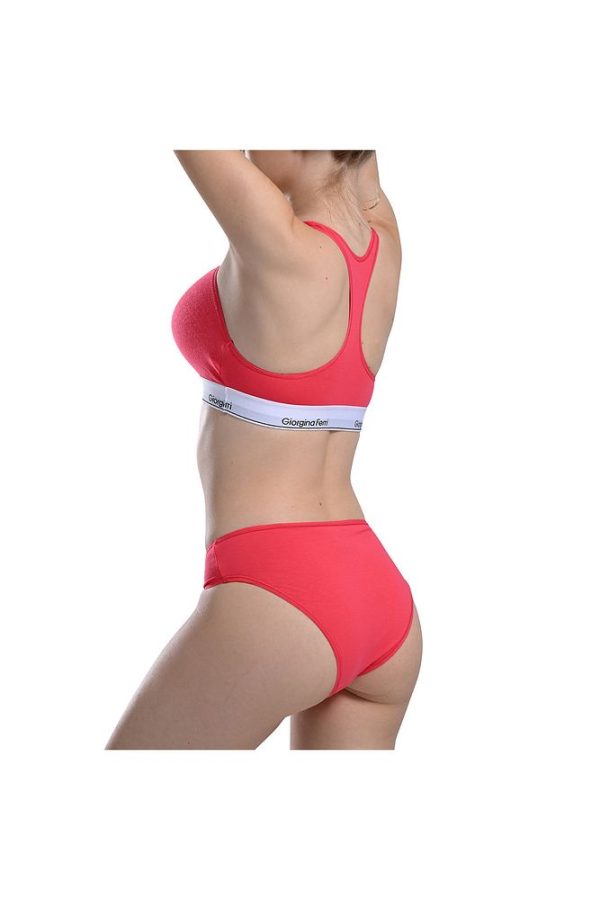 Likralı 6'lı Kutu Premium Slip Külot Laura G-006 H - Görsel 51